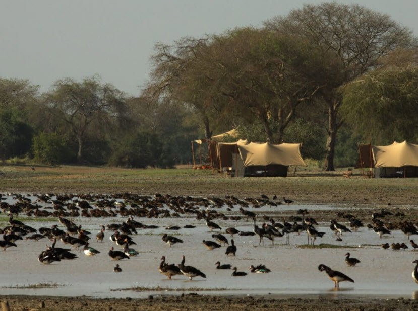 Zakouma National Park